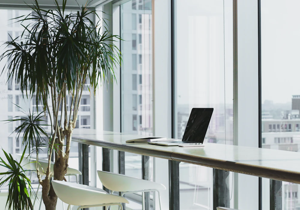 A bright, quiet office desk beside tall windows